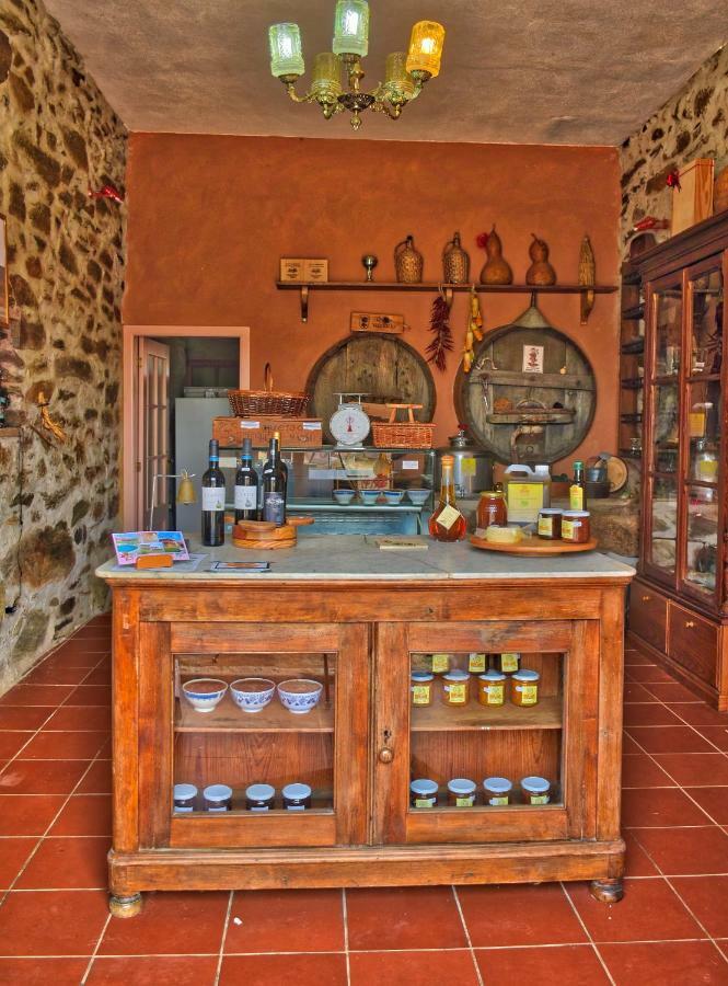 Quinta Do Barracao Da Vilarica Lodões Zewnętrze zdjęcie