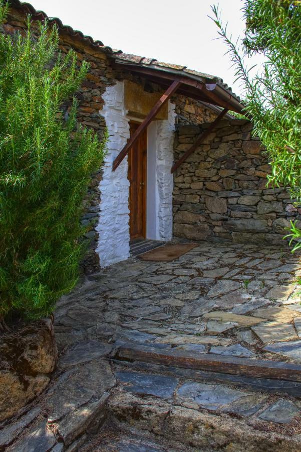 Quinta Do Barracao Da Vilarica Lodões Zewnętrze zdjęcie